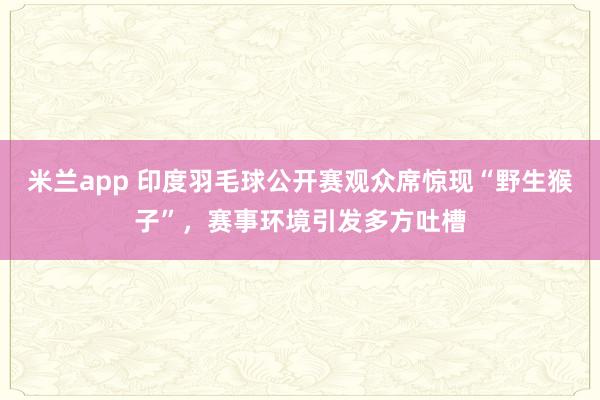 米兰app 印度羽毛球公开赛观众席惊现“野生猴子”，赛事环境引发多方吐槽