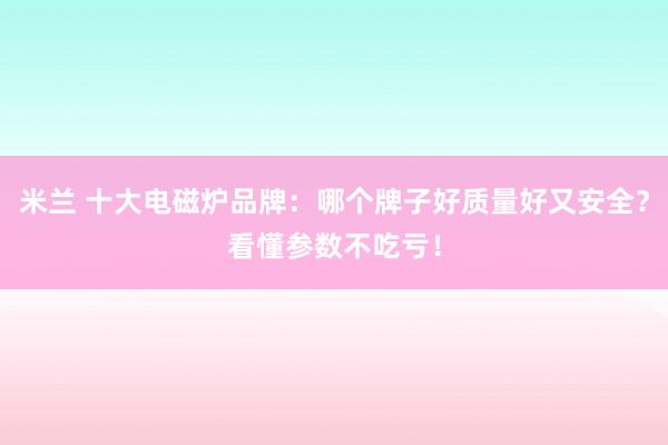 米兰 十大电磁炉品牌：哪个牌子好质量好又安全？看懂参数不吃亏！