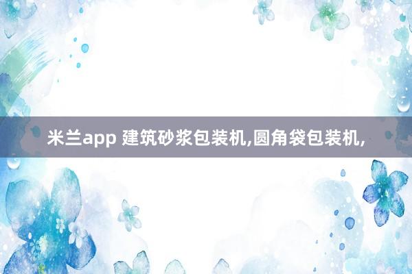 米兰app 建筑砂浆包装机,圆角袋包装机,