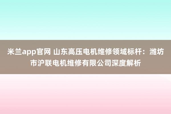 米兰app官网 山东高压电机维修领域标杆：潍坊市沪联电机维修有限公司深度解析