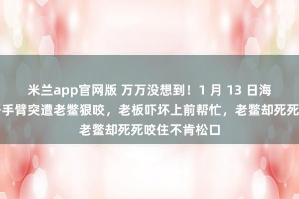 米兰app官网版 万万没想到！1 月 13 日海南街头，男子手臂突遭老鳖狠咬，老板吓坏上前帮忙，老鳖却死死咬住不肯松口