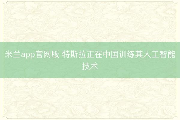 米兰app官网版 特斯拉正在中国训练其人工智能技术