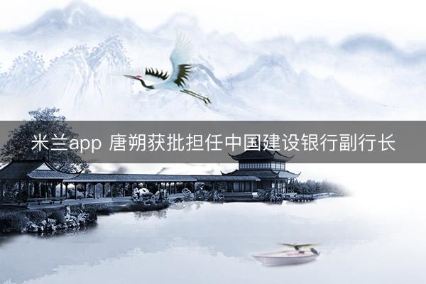 米兰app 唐朔获批担任中国建设银行副行长