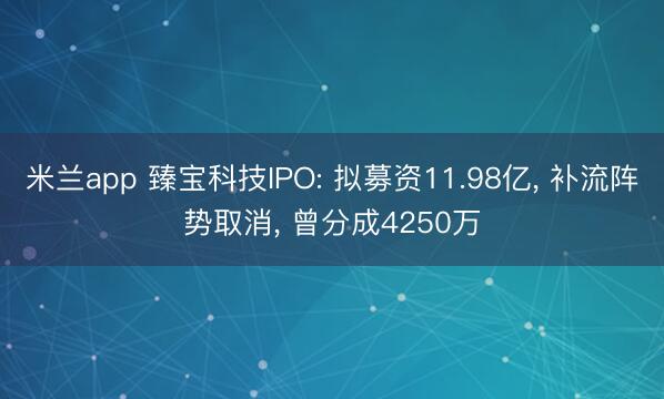 米兰app 臻宝科技IPO: 拟募资11.98亿， 补流阵势取消， 曾分成4250万