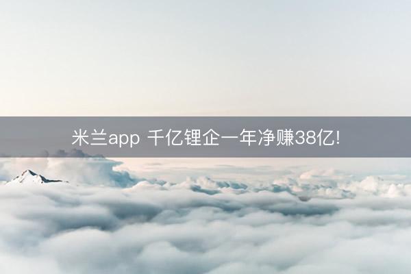 米兰app 千亿锂企一年净赚38亿!