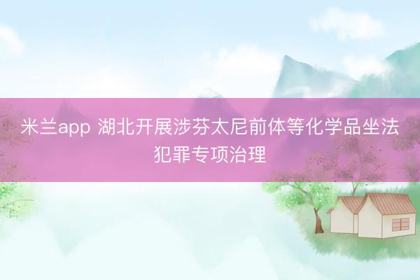 米兰app 湖北开展涉芬太尼前体等化学品坐法犯罪专项治理