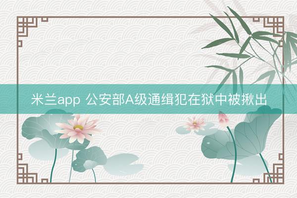 米兰app 公安部A级通缉犯在狱中被揪出