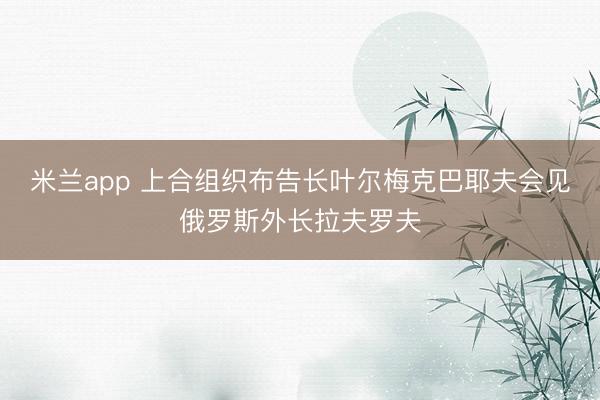 米兰app 上合组织布告长叶尔梅克巴耶夫会见俄罗斯外长拉夫罗夫
