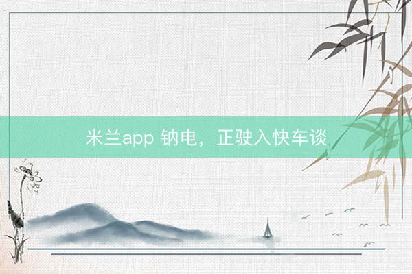米兰app 钠电，正驶入快车谈