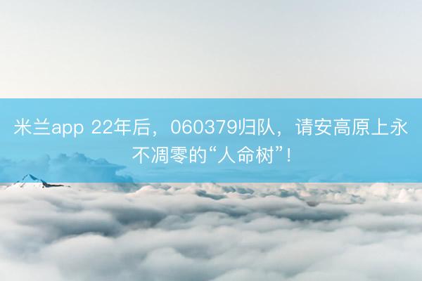 米兰app 22年后，060379归队，请安高原上永不凋零的“人命树”！