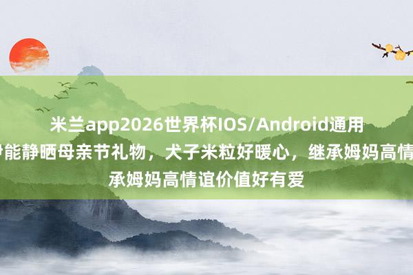 米兰app2026世界杯IOS/Android通用手机版下载 伊能静晒母亲节礼物，犬子米粒好暖心，继承姆妈高情谊价值好有爱