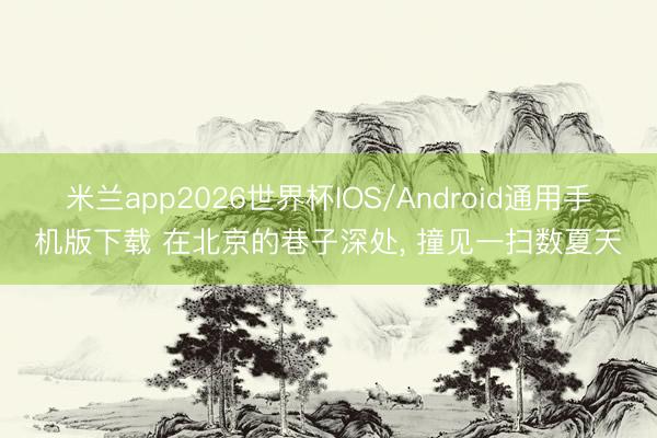 米兰app2026世界杯IOS/Android通用手机版下载 在北京的巷子深处， 撞见一扫数夏天