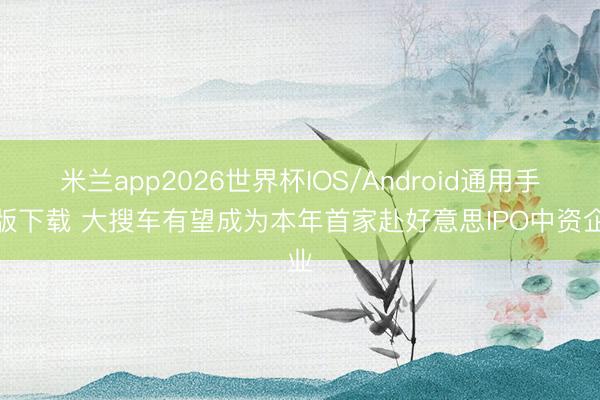 米兰app2026世界杯IOS/Android通用手机版下载 大搜车有望成为本年首家赴好意思IPO中资企业