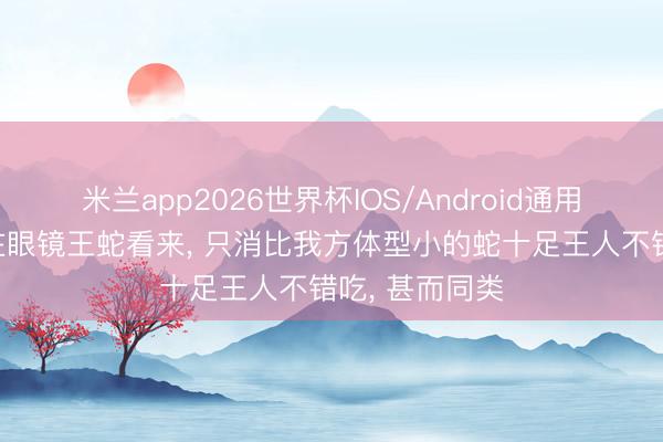米兰app2026世界杯IOS/Android通用手机版下载 在眼镜王蛇看来， 只消比我方体型小的蛇十足王人不错吃， 甚而同类
